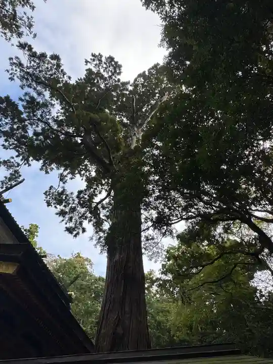 鹿島神宮(茨城県)
