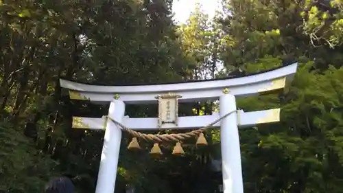 宝登山神社の鳥居