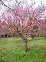 開拓神社の周辺