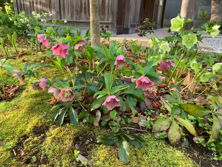 横浜 西方寺(神奈川県)