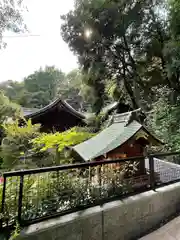 白子熊野神社(埼玉県)