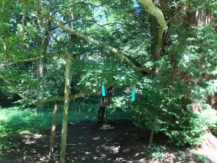 伊佐須美神社(福島県)
