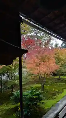 興聖寺(京都府)