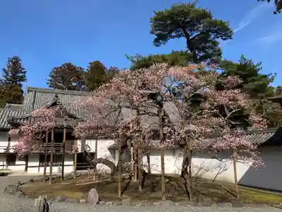 瑞巌寺(宮城県)