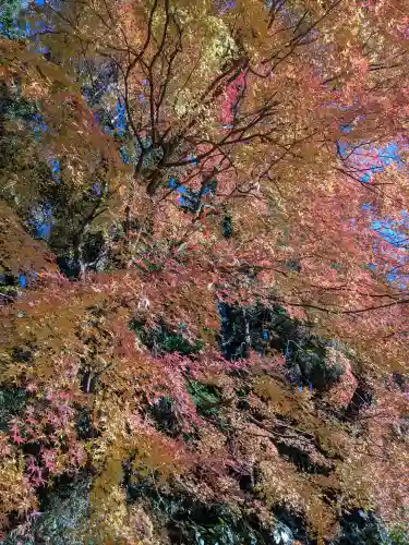 香取神宮(千葉県)