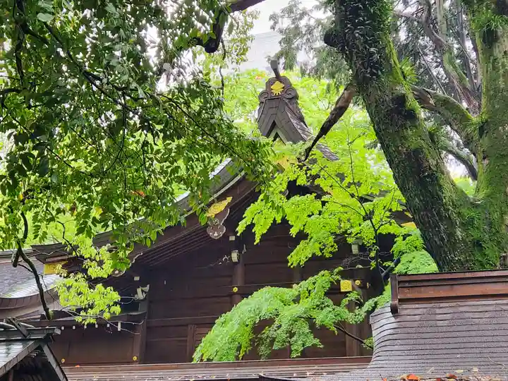 若宮八幡社の本殿・本堂