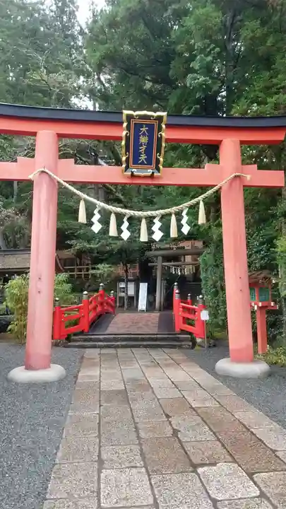 天河大辨財天社の鳥居