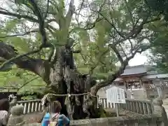 大山祇神社(愛媛県)