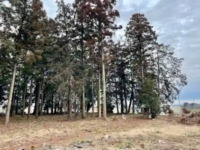 大宮神社(栃木県)
