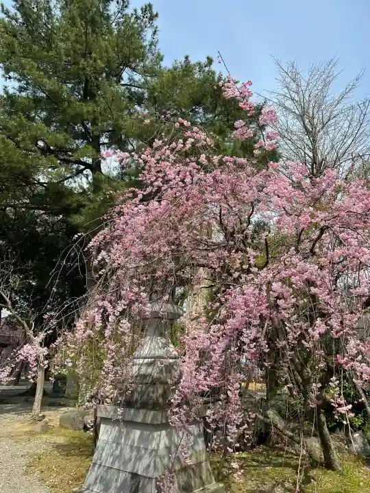 富山縣護國神社(富山県)