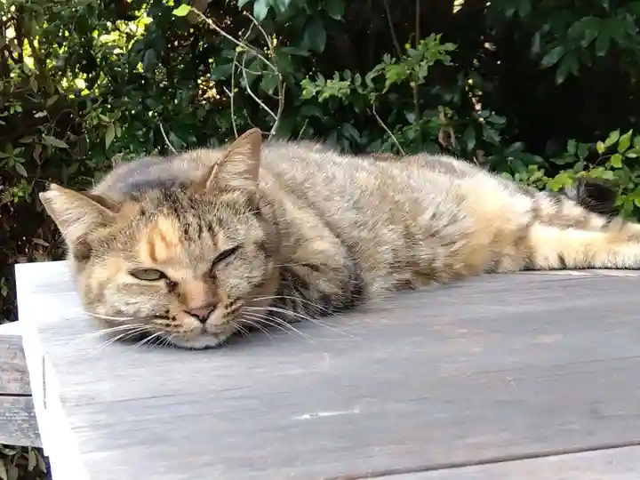 久米寺(奈良県)