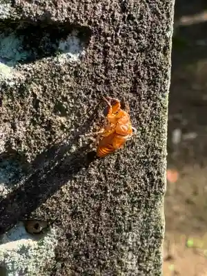 大宮諏訪神社(長野県)