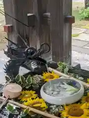 札幌護國神社の手水