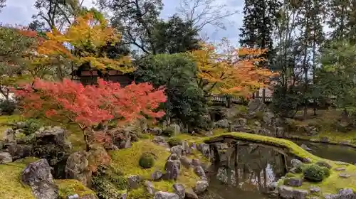 醍醐寺の庭園