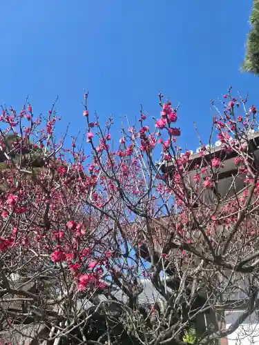 東光院の{uncategorized: "未分類", other: "その他", undefined: "問題あり", building: "その他建物", grave: "お墓", sacred_gate: "鳥居", guardian: "狛犬", statue: "像", buddha: "仏像", history: "歴史", nature: "自然", garden: "庭園", animal: "動物", pagoda: "塔", temizu: "手水舎", mountain_gate: "山門・神門", sanctuary: "本殿・本堂", subordinate: "末社・摂社", art: "芸術", scenery: "景色", jizo: "地蔵", ema: "絵馬", goshuin: "御朱印", omikuji: "おみくじ", items: "授与品その他", amulet: "お守り", goshuincho: "御朱印帳", eats: "食事", festival: "お祭り", votive_dance: "神楽", shichigosan: "七五三参", wedding: "結婚式", experience: "体験その他", initially: "初詣", around: "周辺", anti_infection: "感染症対策"}