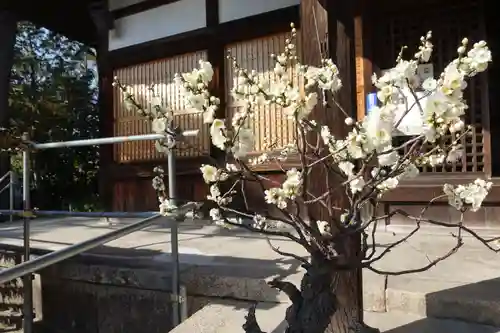 菅原天満宮（菅原神社）のその他建物