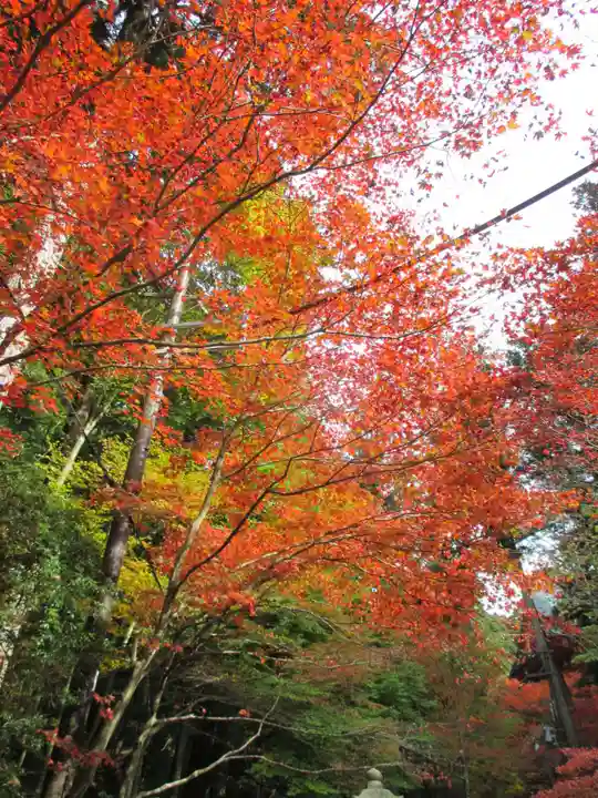 延暦寺横川中堂(滋賀県)