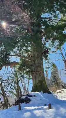 竹之高地不動社(新潟県)