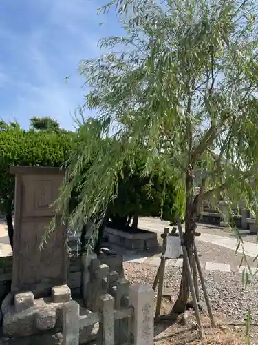 真光寺(兵庫県)