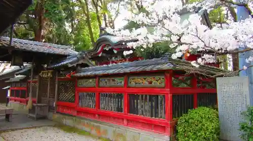 愛宕神社の本殿・本堂