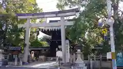 御霊神社（上御霊神社）の鳥居