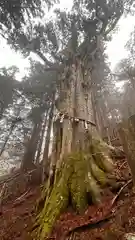 玉置神社(奈良県)