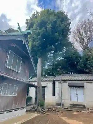 諏訪神社の{uncategorized: "未分類", other: "その他", undefined: "問題あり", building: "その他建物", grave: "お墓", sacred_gate: "鳥居", guardian: "狛犬", statue: "像", buddha: "仏像", history: "歴史", nature: "自然", garden: "庭園", animal: "動物", pagoda: "塔", temizu: "手水舎", mountain_gate: "山門・神門", sanctuary: "本殿・本堂", subordinate: "末社・摂社", art: "芸術", scenery: "景色", jizo: "地蔵", ema: "絵馬", goshuin: "御朱印", omikuji: "おみくじ", items: "授与品その他", amulet: "お守り", goshuincho: "御朱印帳", eats: "食事", festival: "お祭り", votive_dance: "神楽", shichigosan: "七五三参", wedding: "結婚式", experience: "体験その他", initially: "初詣", around: "周辺", anti_infection: "感染症対策"}