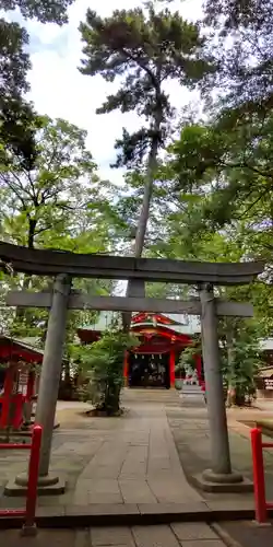 赤堤六所神社の鳥居