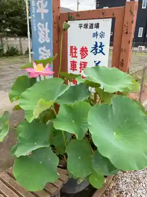 教善寺(神奈川県)