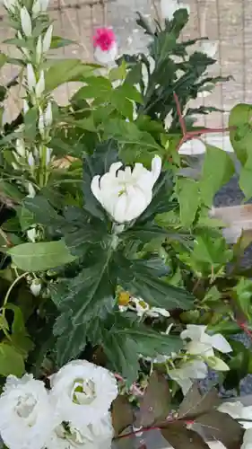 彌彦神社　(伊夜日子神社)(北海道)