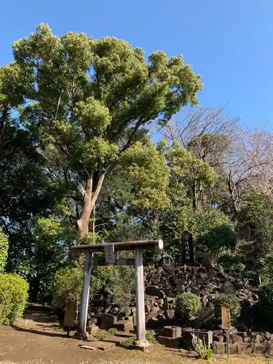 姉埼神社の鳥居