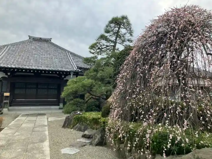 南之院の{uncategorized: "未分類", other: "その他", undefined: "問題あり", building: "その他建物", grave: "お墓", sacred_gate: "鳥居", guardian: "狛犬", statue: "像", buddha: "仏像", history: "歴史", nature: "自然", garden: "庭園", animal: "動物", pagoda: "塔", temizu: "手水舎", mountain_gate: "山門・神門", sanctuary: "本殿・本堂", subordinate: "末社・摂社", art: "芸術", scenery: "景色", jizo: "地蔵", ema: "絵馬", goshuin: "御朱印", omikuji: "おみくじ", items: "授与品その他", amulet: "お守り", goshuincho: "御朱印帳", eats: "食事", festival: "お祭り", votive_dance: "神楽", shichigosan: "七五三参", wedding: "結婚式", experience: "体験その他", initially: "初詣", around: "周辺", anti_infection: "感染症対策"}