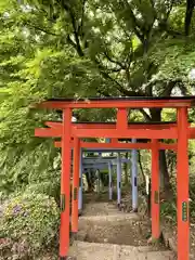 足利織姫神社の鳥居