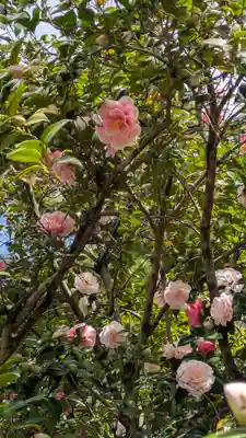 御香宮神社(京都府)