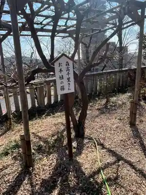 八雲神社(緑町)(栃木県)