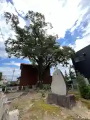 手力雄神社(岐阜県)