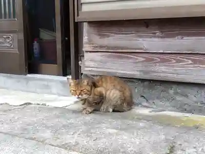 奥津比咩神社(石川県)