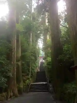 箱根神社のその他建物