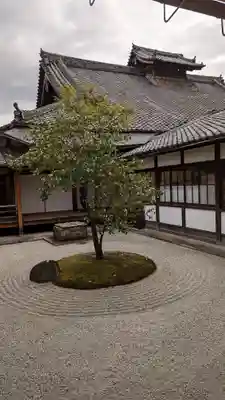 建仁寺（建仁禅寺）(京都府)
