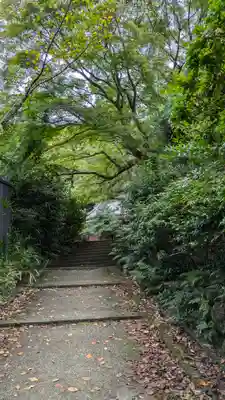 尊勝院(京都府)