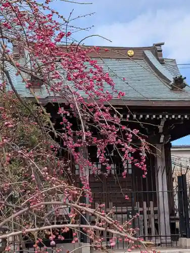 白山神社(東京都)