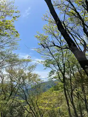 大山阿夫利神社本社(神奈川県)