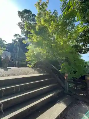 黒髪神社(佐賀県)