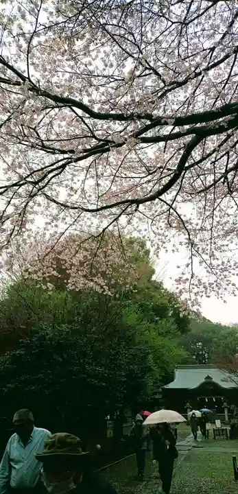 畑子安神社の自然