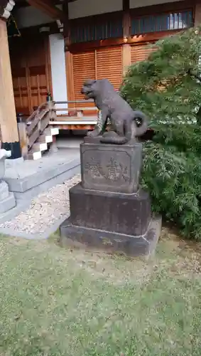 天現寺の狛犬