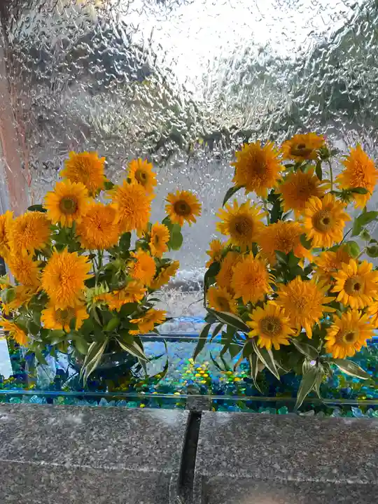 宮地嶽神社(福岡県)