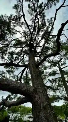 法隆寺(奈良県)