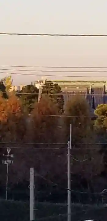 題経寺(柴又帝釈天)(東京都)