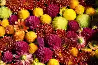 大鏑神社の手水舎