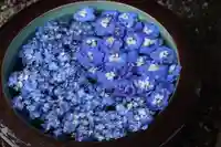 上尾御嶽神社の手水舎